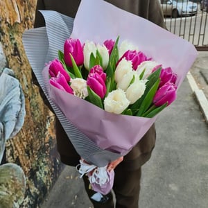 Букет тюльпанов "Бархатный"