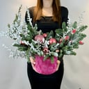 Полярный ветер