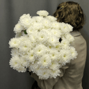 Букет «Shoupette» из хризантем