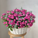 Большая корзина кустовых пионовидных роз