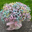 Шляпная коробка с цветами «Звездное мерцание» из гипсофил