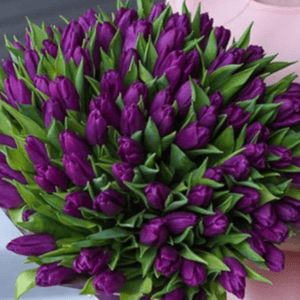 Букет «Тюльпаны фиолетовыйе 101 шт»