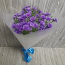 Букет «3 кустовые астры»