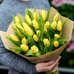 Букет из жёлтых тюльпанов 25шт