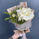 Букет «Комплимент белая французская роза»