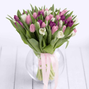 Букет «51 нежных тюльпанов»