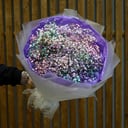 Букет из 25 Разноцветных Гипсофил