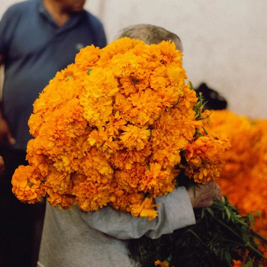 Fresh flowers Tijuana Mexico