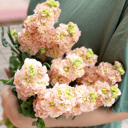 Букет «Доброжелательность» из экзотических цветов