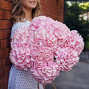 Букет «Розовая гортензия 9 штук»