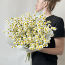 Букет «Ромашки»