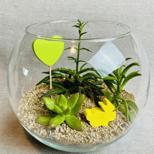 Флорариум Весна в стекле