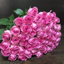 Букет «51 розовая роза 60 см»