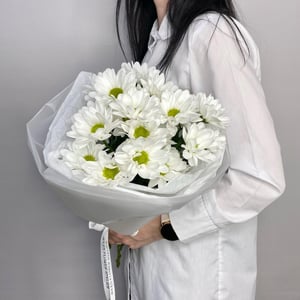 Букет белоснежных ромашек 7 т из хризантем