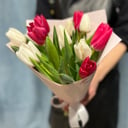 Букет «11 Тюльпанов микс розовых и белых»