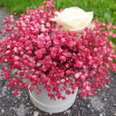 Шляпная коробка с цветами «Единственная моя» из гипсофил и роз