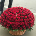 151 эквадорская роза в корзине