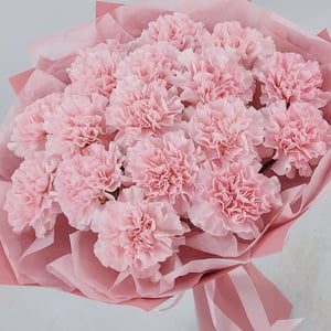 Букет «Розовые диантусы 17» из гвоздик