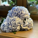 Букет «Тщеславие» из гортензий