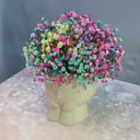 Композиция из гипсофилы радужной