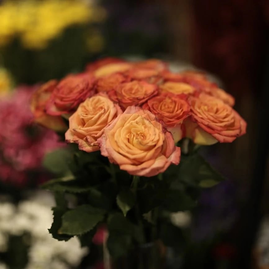 Rosen vom Berliner Floristen
