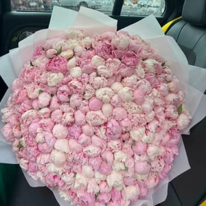 Букет из 151 пиона