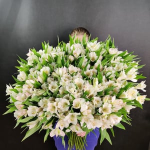 Букет из 51 альстромерии Великолепие