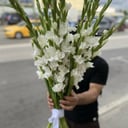 Белоснежный букет из 49 гладиолуса