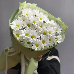 Букет белых хризантем
