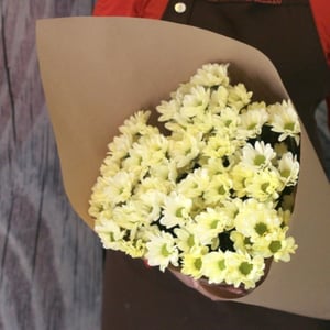 Букет «9 кустовых кремовых хризантем»