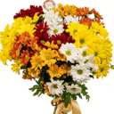 Букет «Фрутис» из хризантем