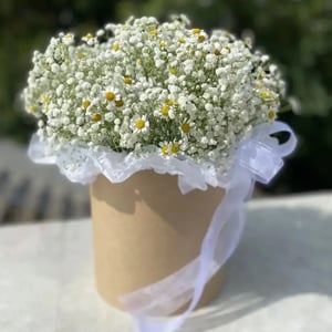 Коробочка с гипсофилой и ромашками