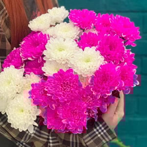 Букет из разноцветных хризантем