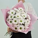 Букет из 5 кустовых хризантем ромашка