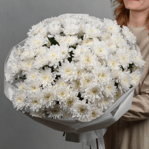 Нежный букет из светлых хризантем XL