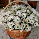 Корзина с цветами «Утренняя радость» из ромашек и хризантем