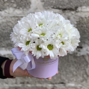 Шляпная коробка с цветами «Композиция из хризантем»