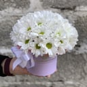 Шляпная коробка с цветами «Композиция из хризантем»