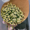 Букет «Ромашковое поле»