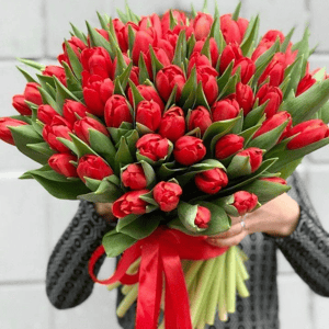 Букет из красных тюльпанов
