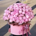 Композиция пионов