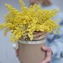 Шляпная коробка с цветами «Жгучая мимоза»