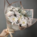 Букет «5 кустовых хризантем»