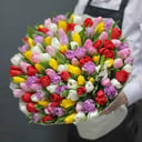 Букет живых цветов - 101 тюльпан микс, р из пионов