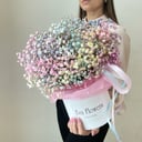 Шляпная коробка с цветами «Стойкая гипсофила в коробочке»