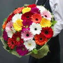 Букет «25 гербера»
