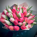 Букет «51 бело-розовый голландский тюльпан»