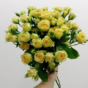 Букет из желтых кустовых роз 9 шт