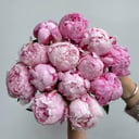 Букет розовых пионов Сара Бернар