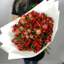 Пышный букет из 19 альстромерий